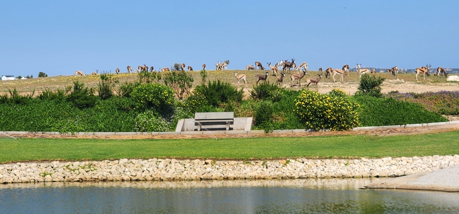 2 Bedroom Property for Sale in Langebaan Country Estate Western Cape